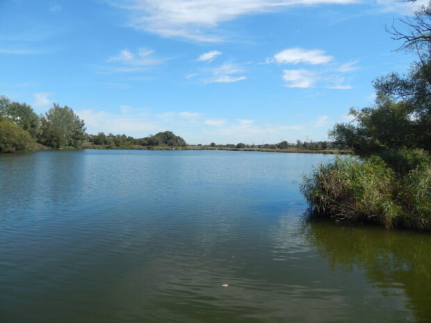 Річка Немишля