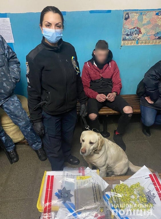 кинолог