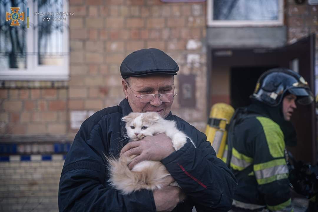 Война