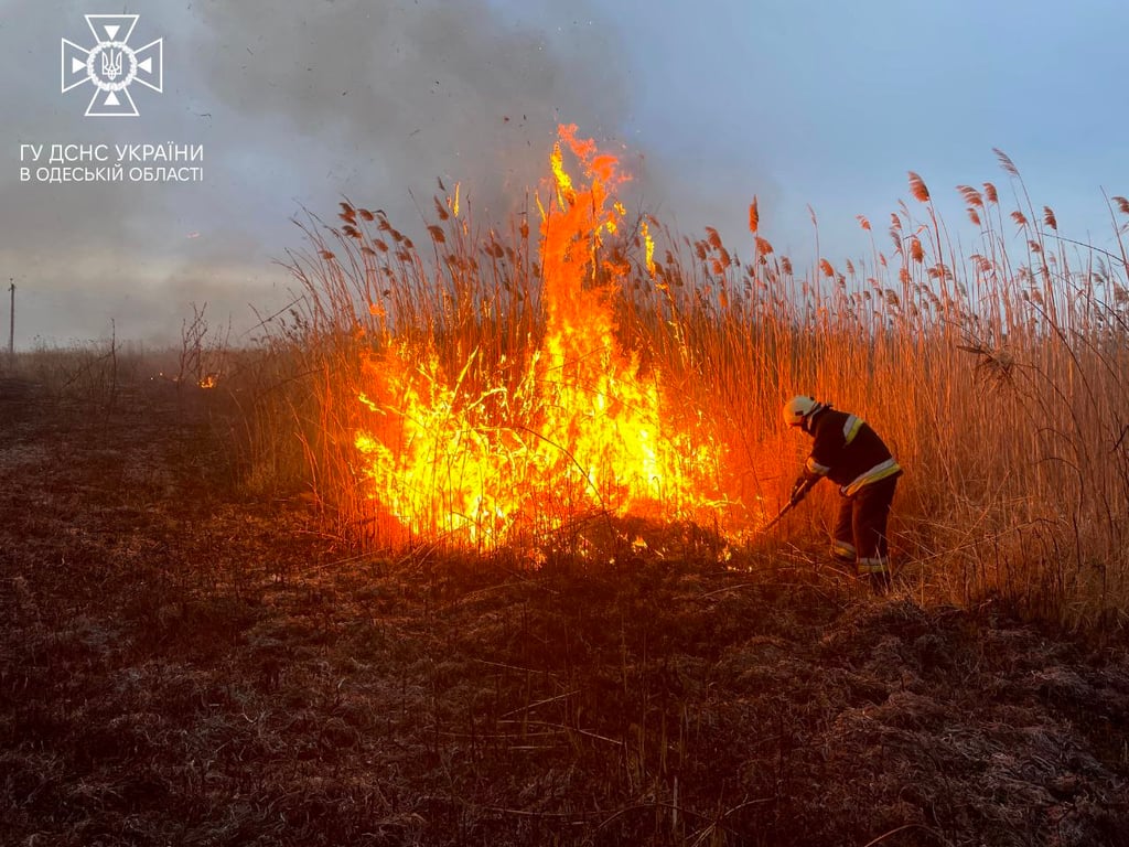 пожежа на полях зрошення в Одесі