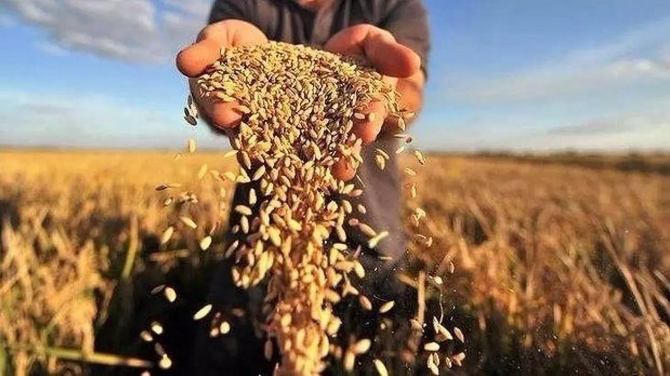 Оккупанты могут украсть в Украине зерно на миллионы долларов