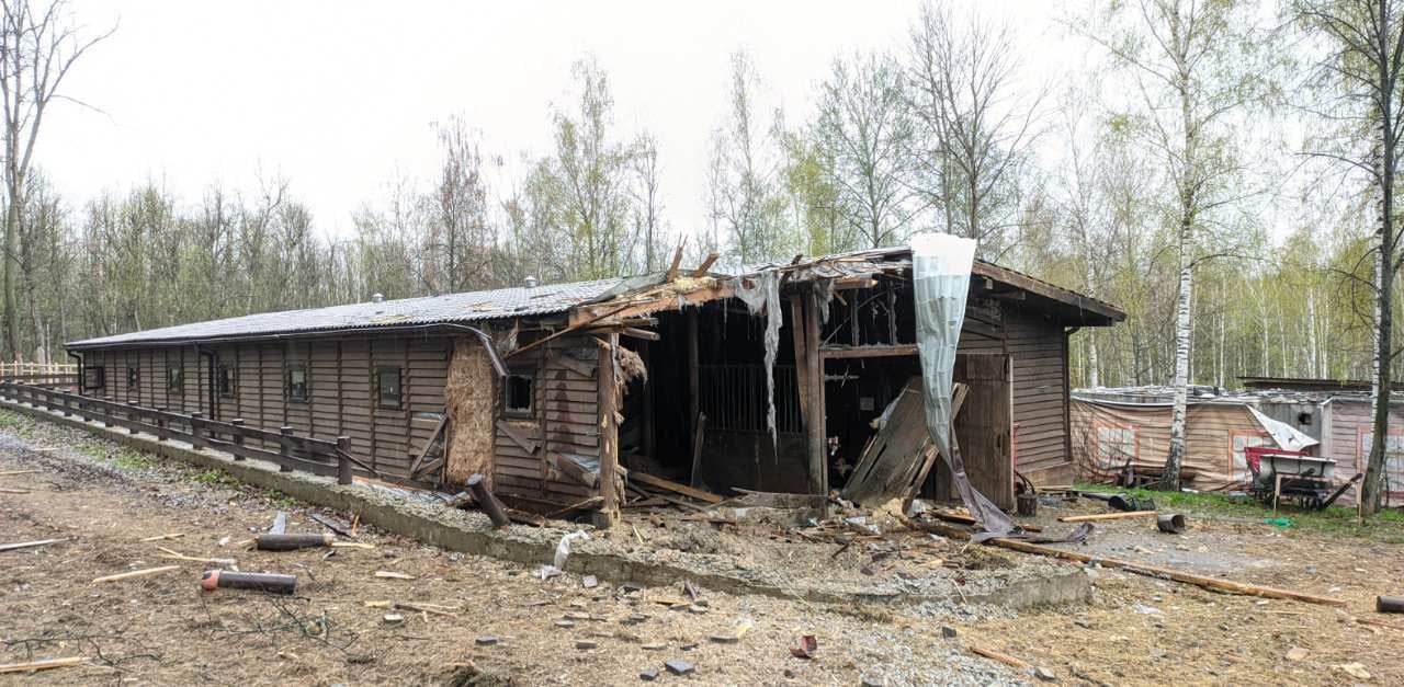 Екопарк Фельдмана в Харкові