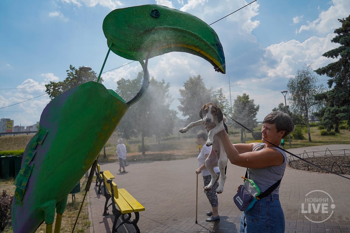 охлаждающие рамки в Киеве