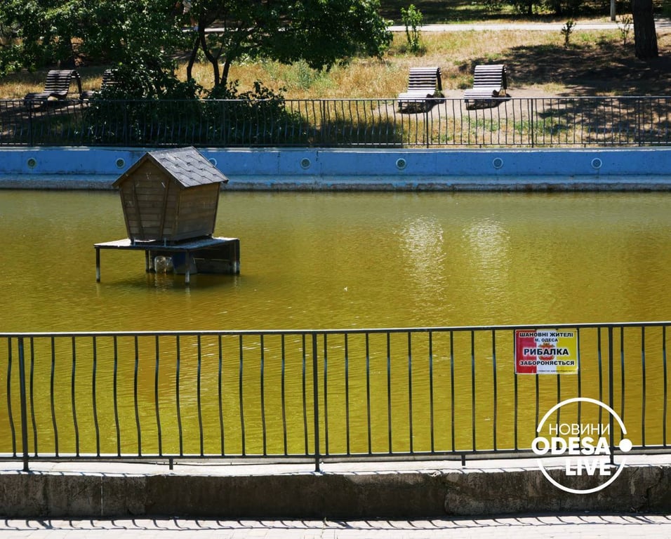 В парке Победы нашли альтернативный отдых