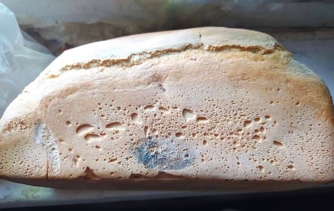 Пліснявий хліб Маріуполь