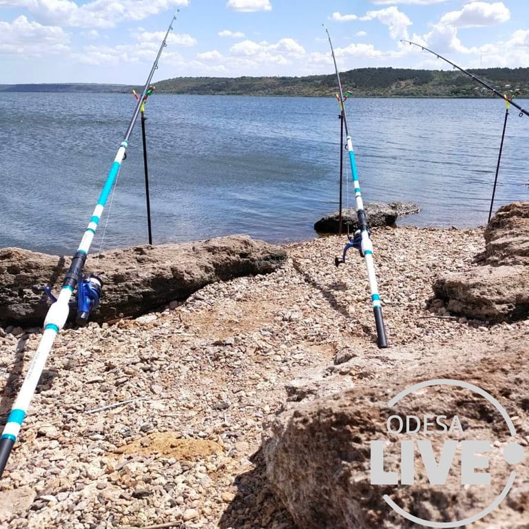 Экологи определяют причину массового замора рыбы в Хаджибее