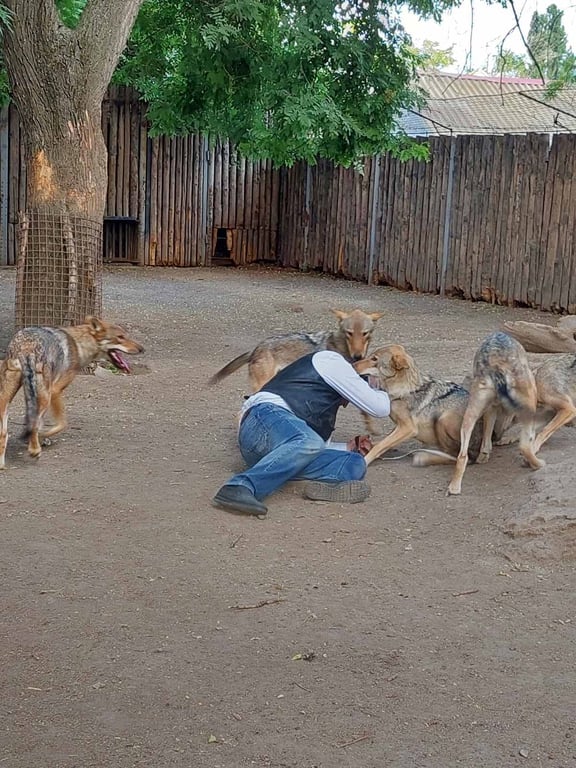 Директор одесского зоопарка снимает новый клип