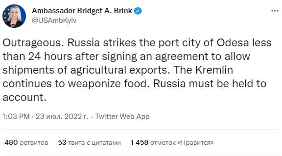 бриджит бринк