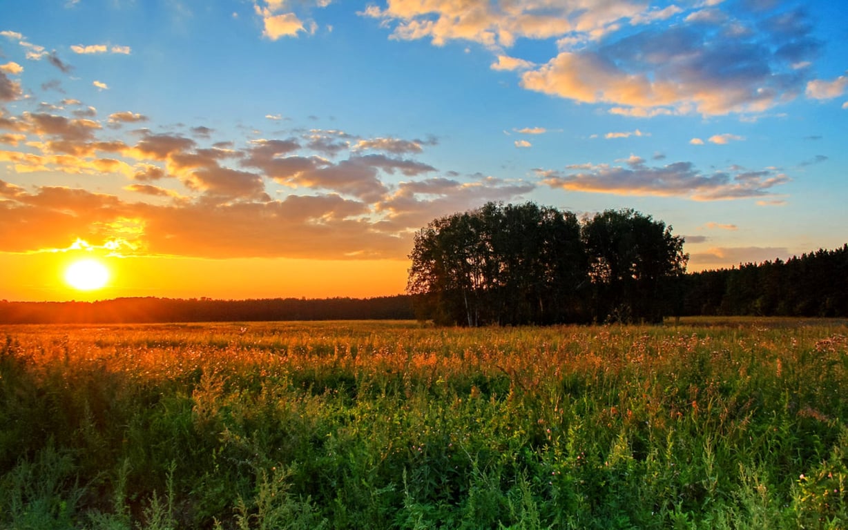 літо