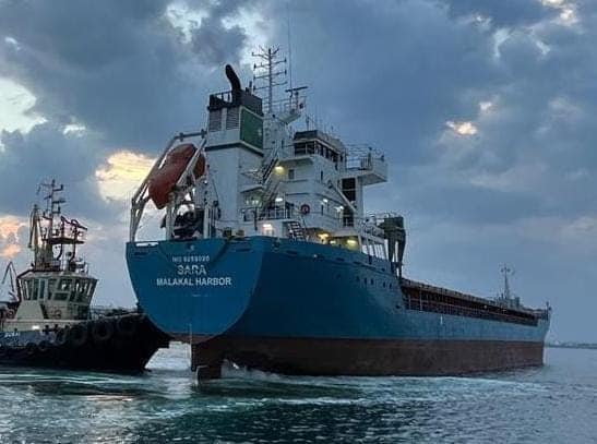 В порт Одещини чекають ще п'ять суден для завантаження українським зер