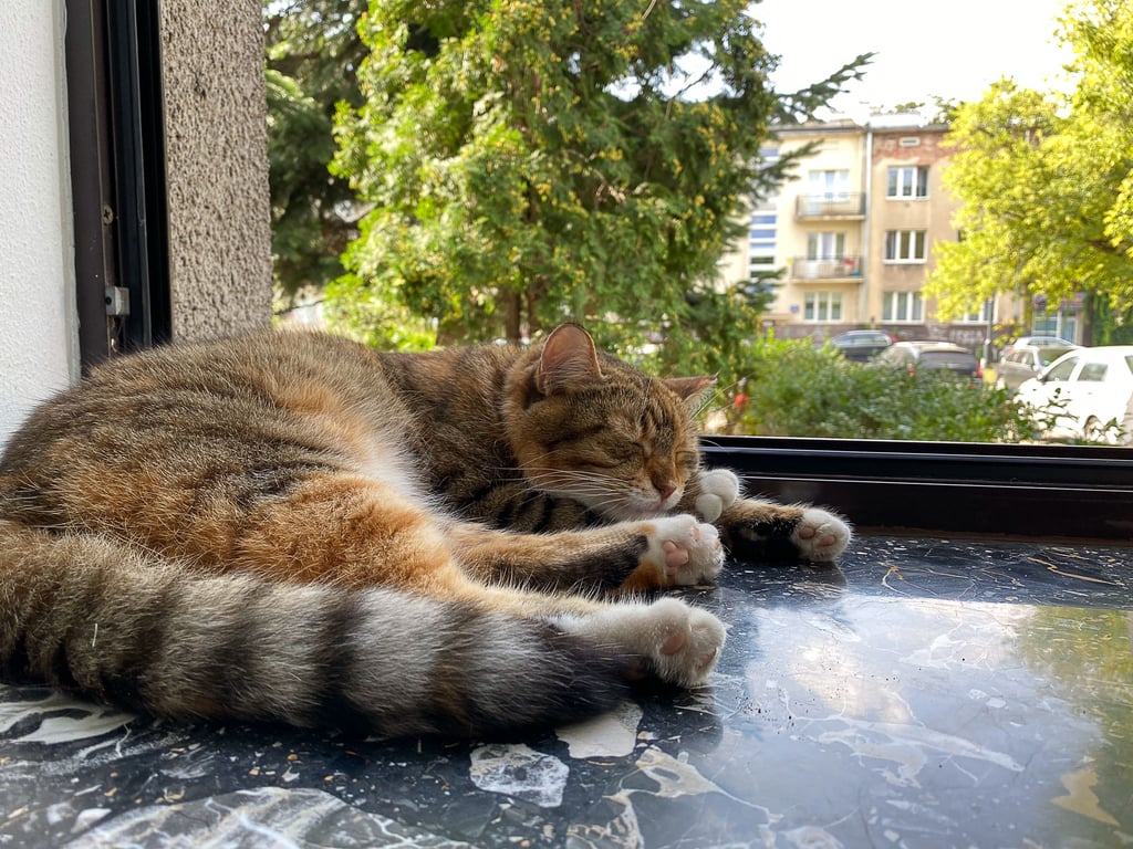 В Польше создали два пункта приема украинских беженцев