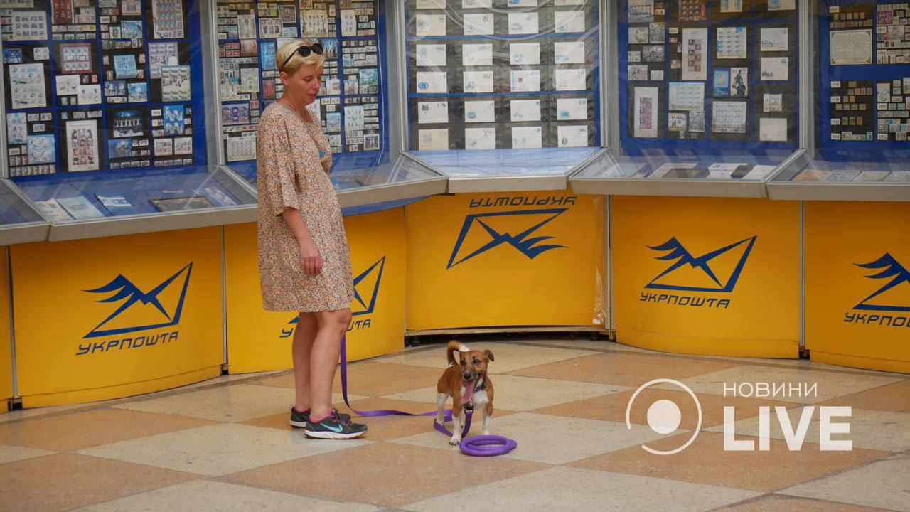 марка патрон