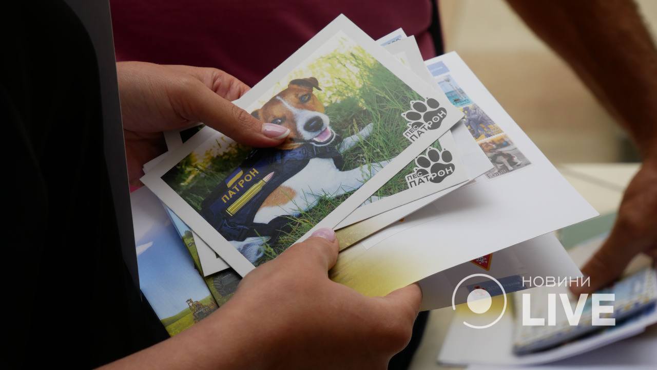 марка патрон