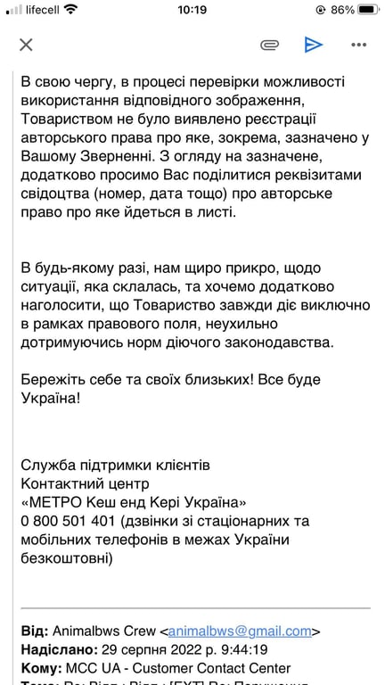 Відомих одеських котиків-патріотів вкрали: що трапилось