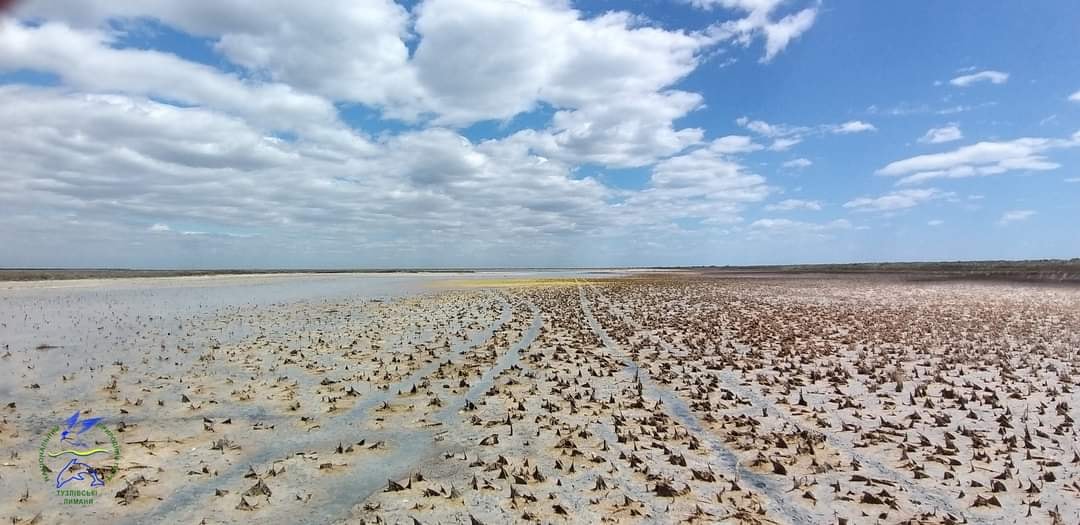 в Одесской области засохли озера