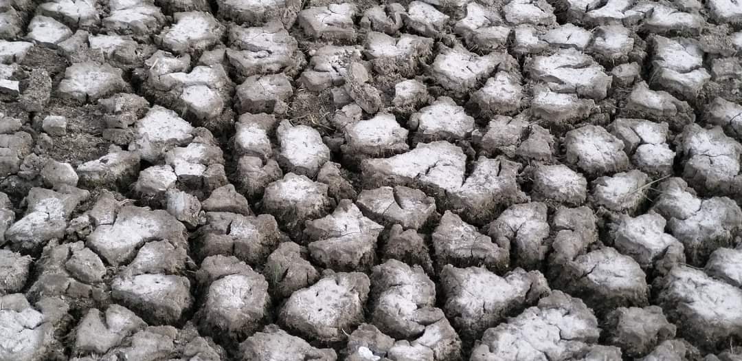 в Одесской области засохли озера