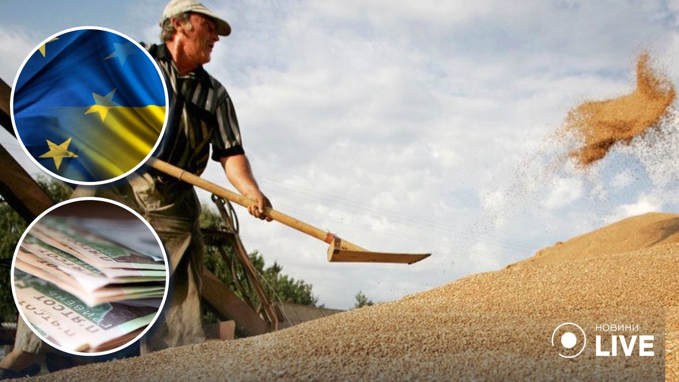 Аграрії можуть отримати фінансову допомогу від ЄС: куди подавати заявки