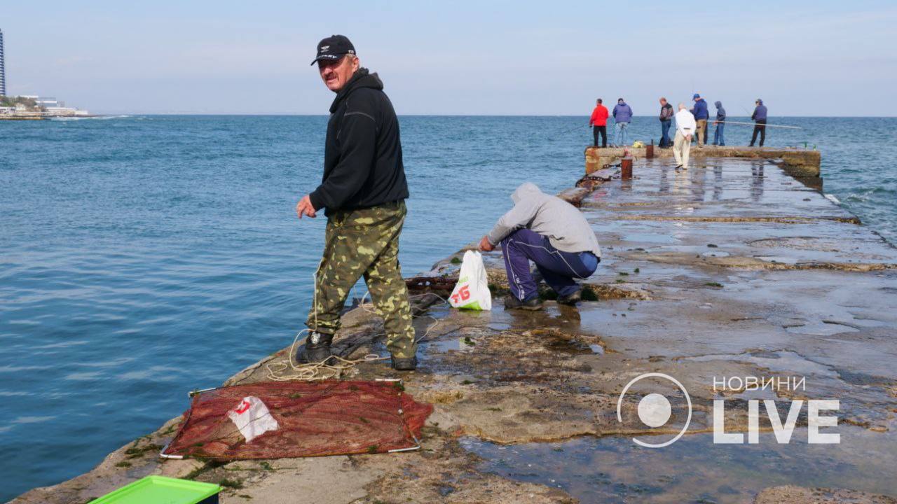 оксамитовий сезон одеса