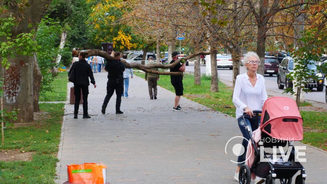 гілка впала на жінку одеса