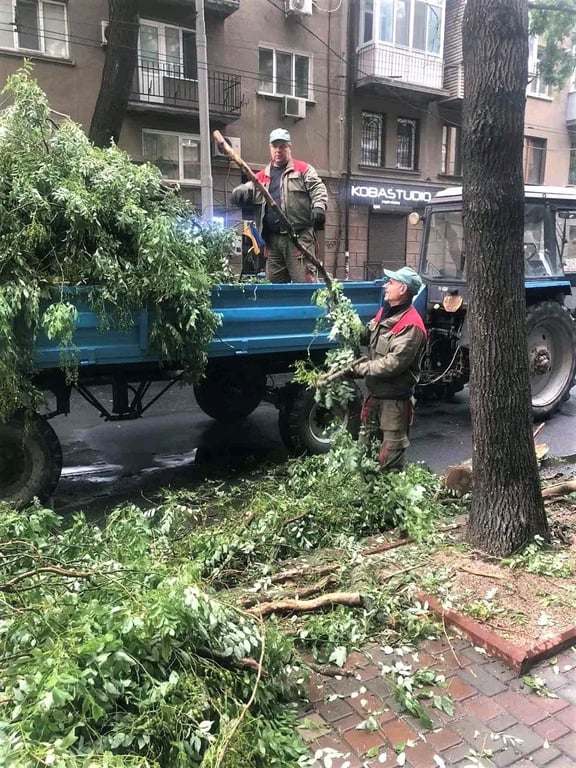 деревопад Одеса