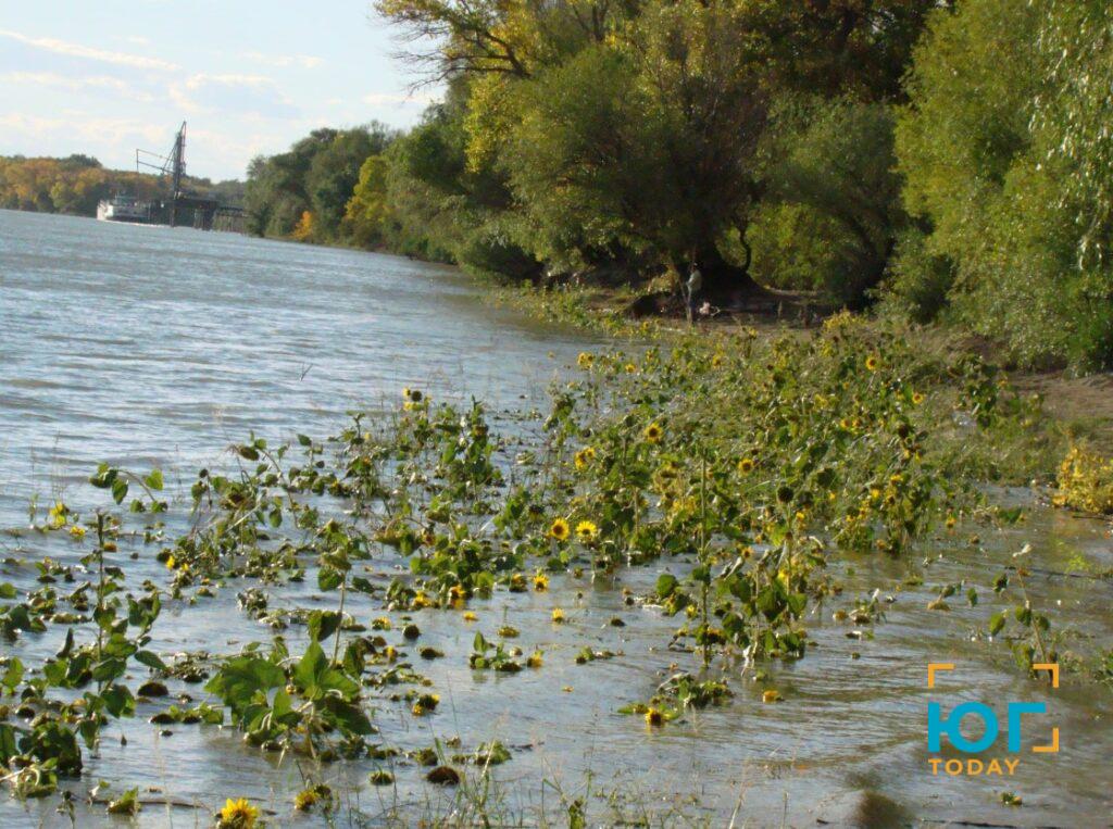 Рівень води у Дунаї