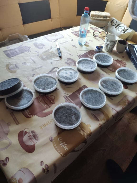 незаконный лов рыбы