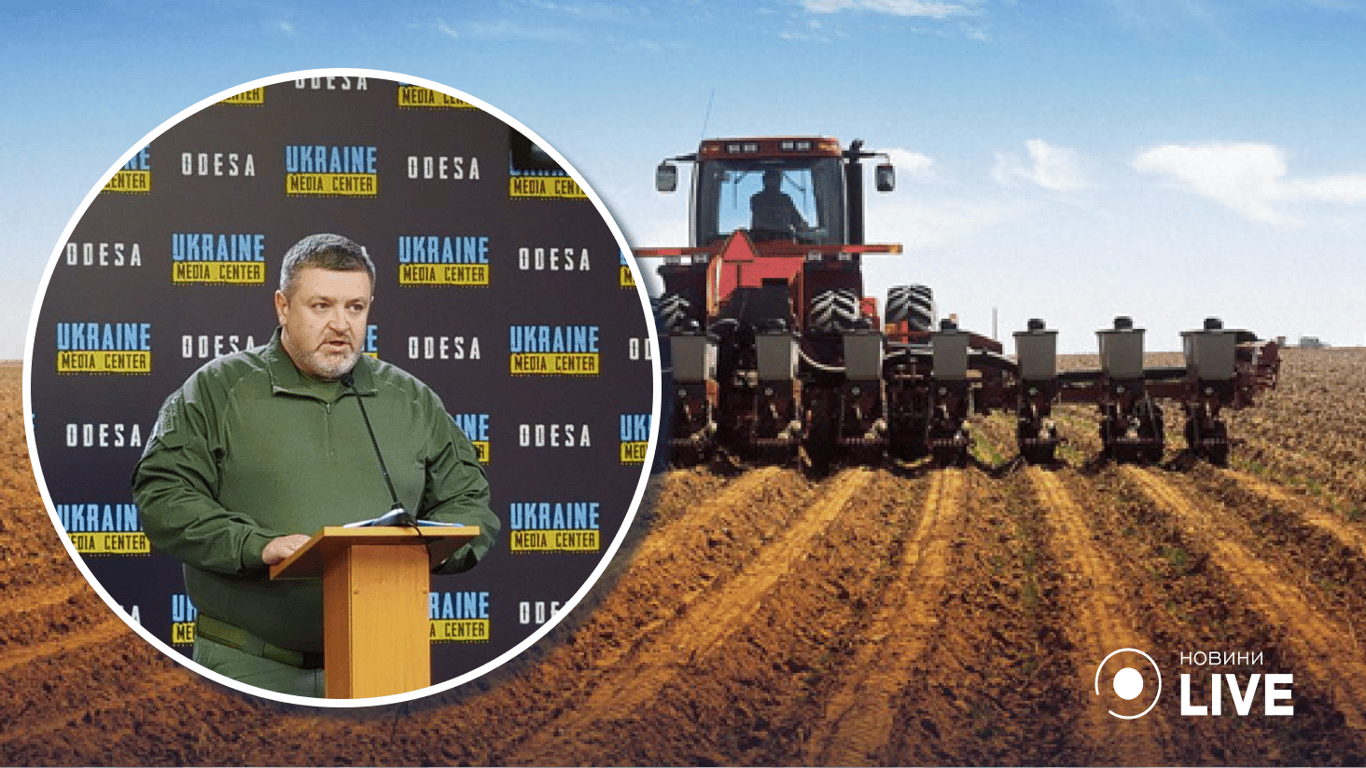 В Одесі гине врожай, який мають відправити у рамках Зернової ініціативи