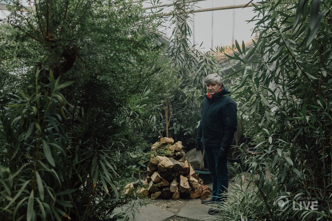 ботсад Гришка