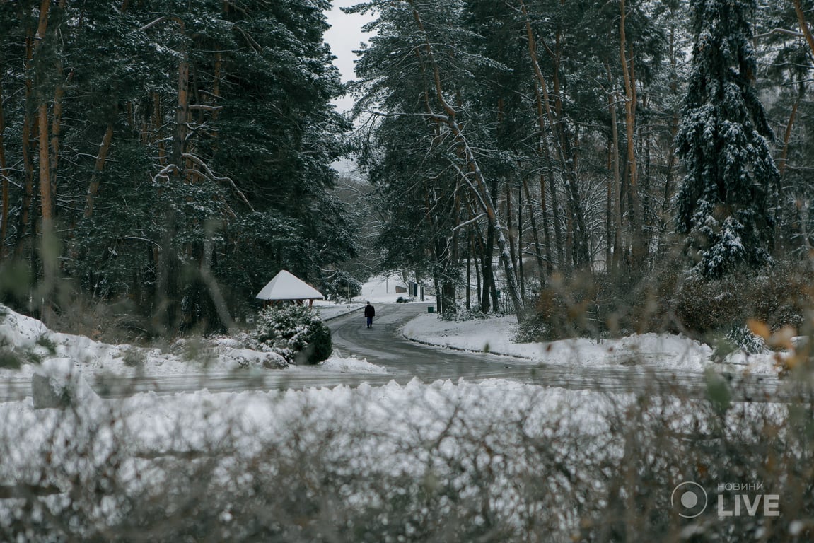 ботсад Гришка