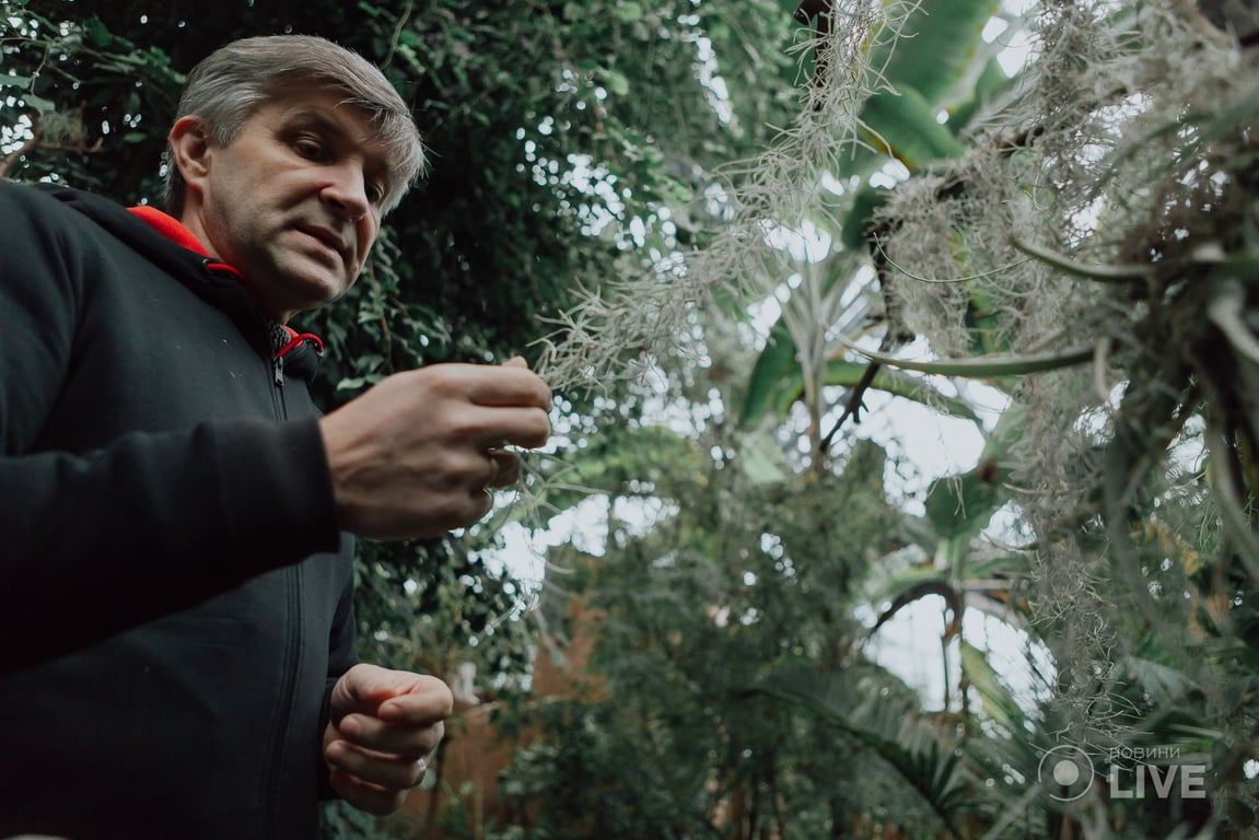 Роман Іванников