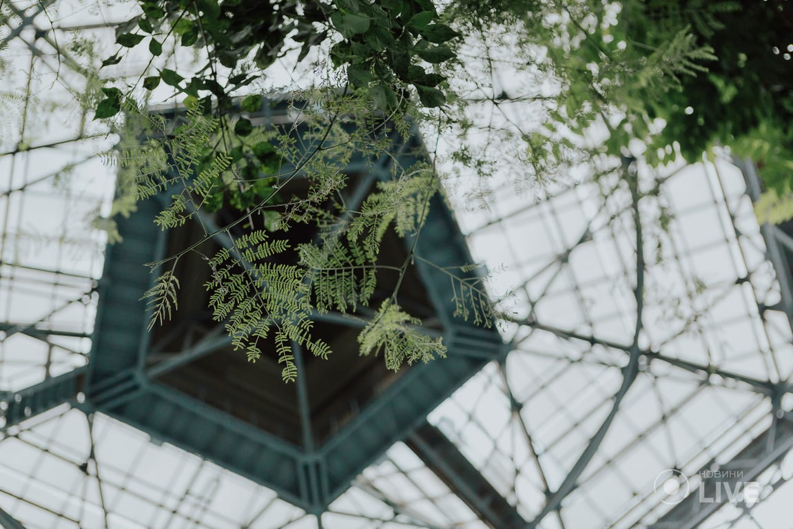 ботсад Гришка оранжерея