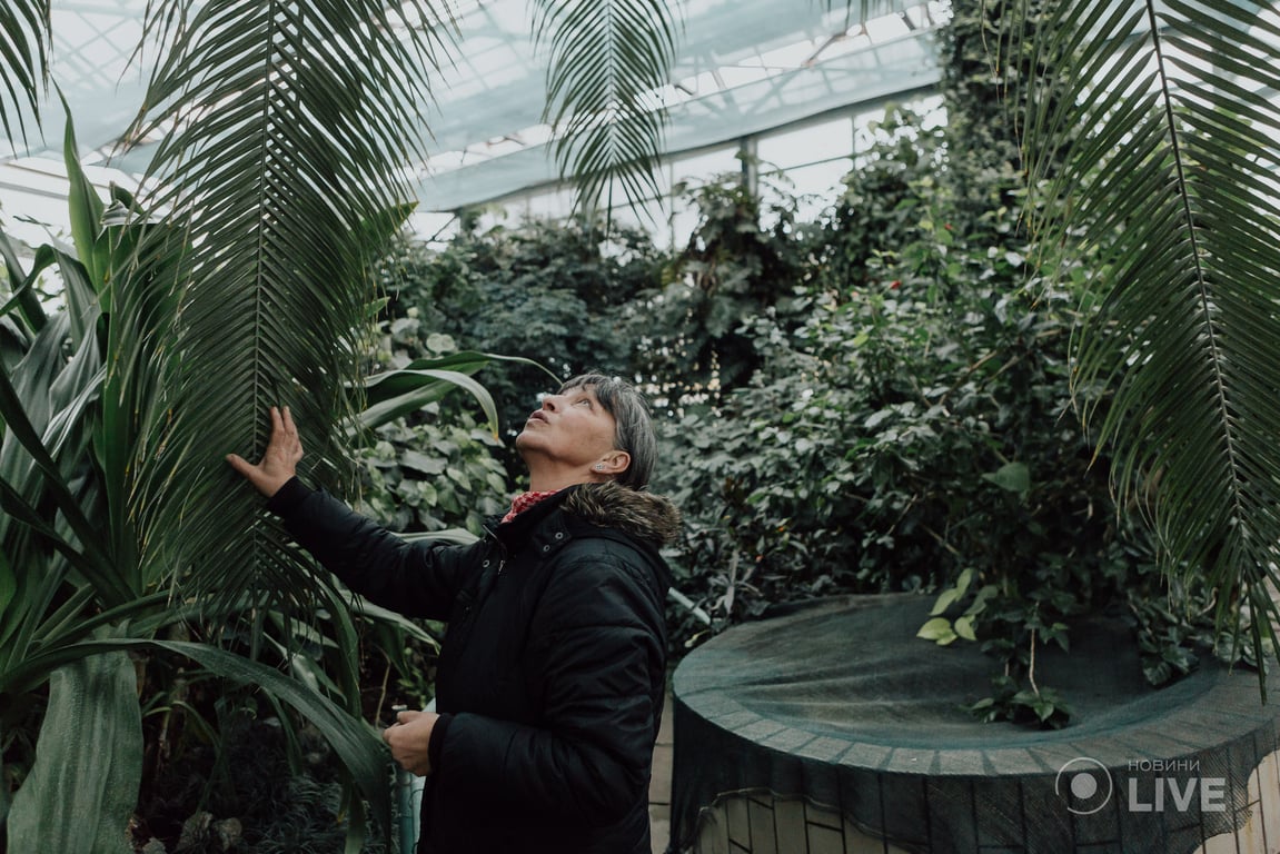 ботсад Гришка оранжерея