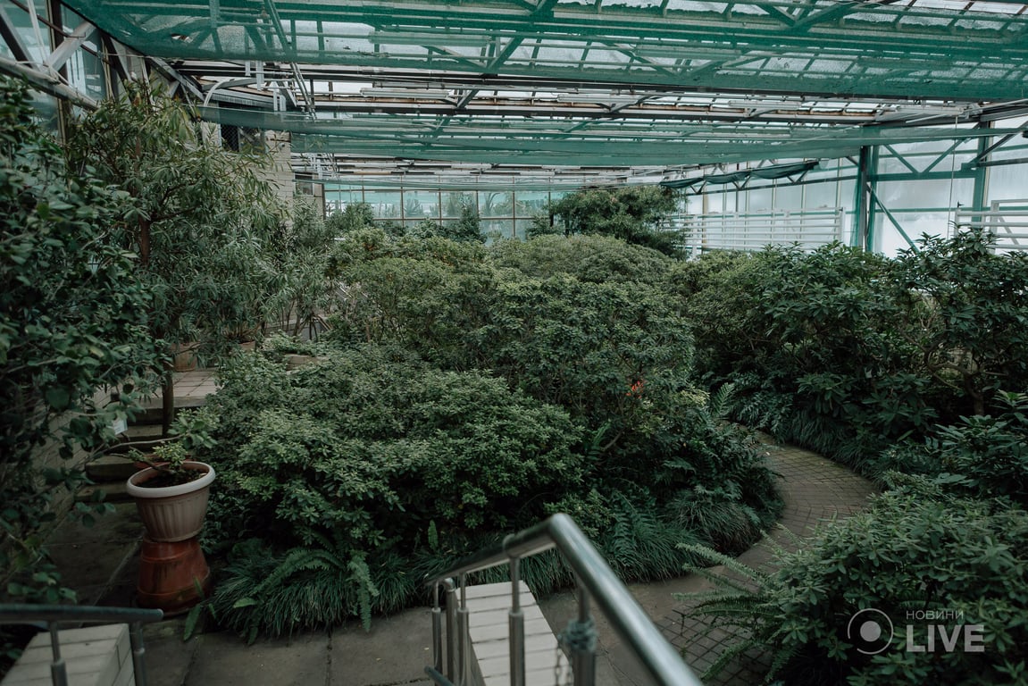 ботсад Гришка оранжерея