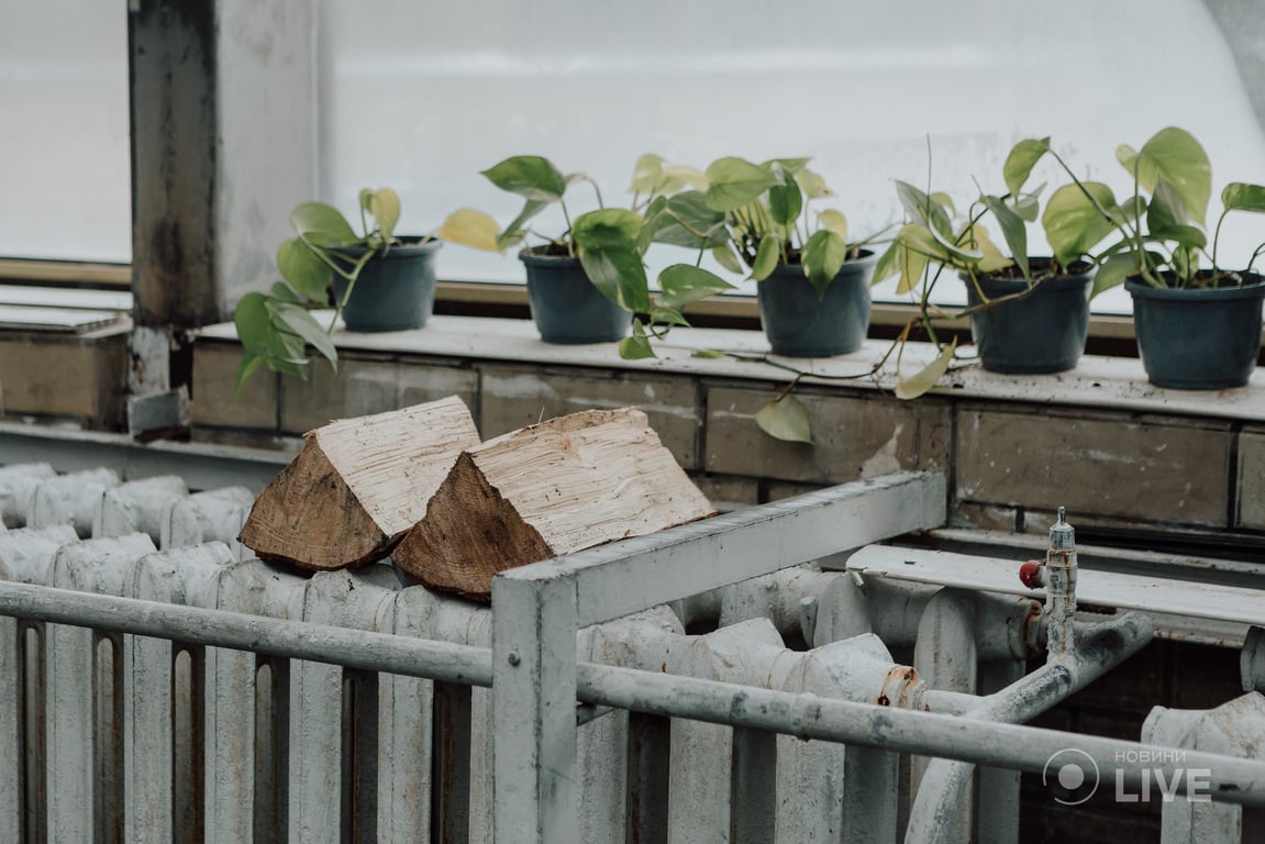 ботсад Гришка оранжерея