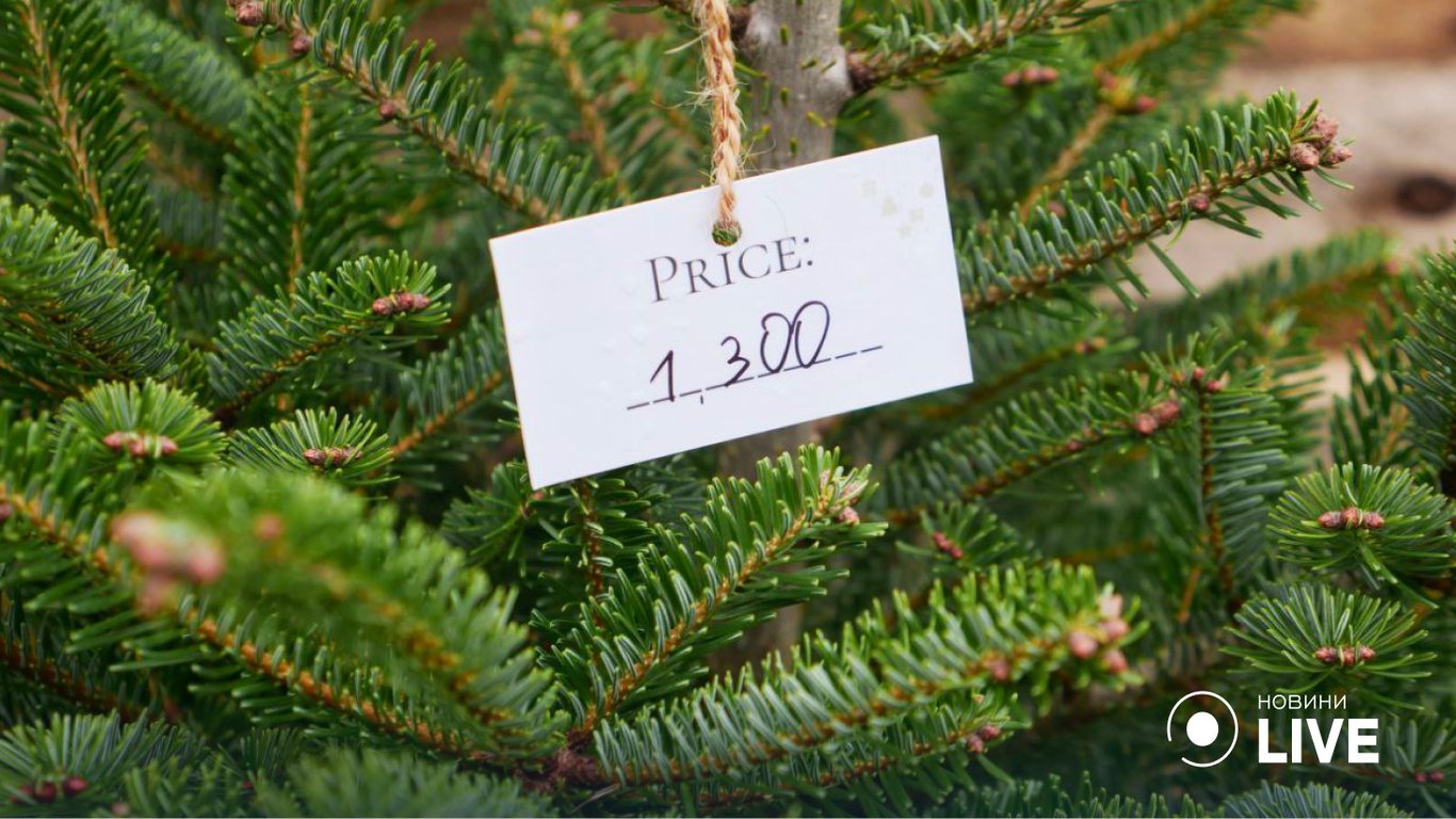 Цены на новогодние елки в Одессе.