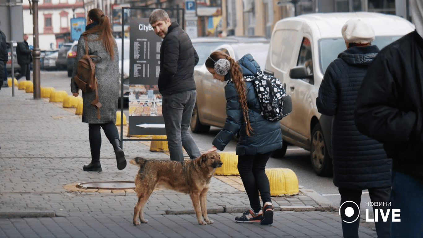 Каким был город на 291 день войны