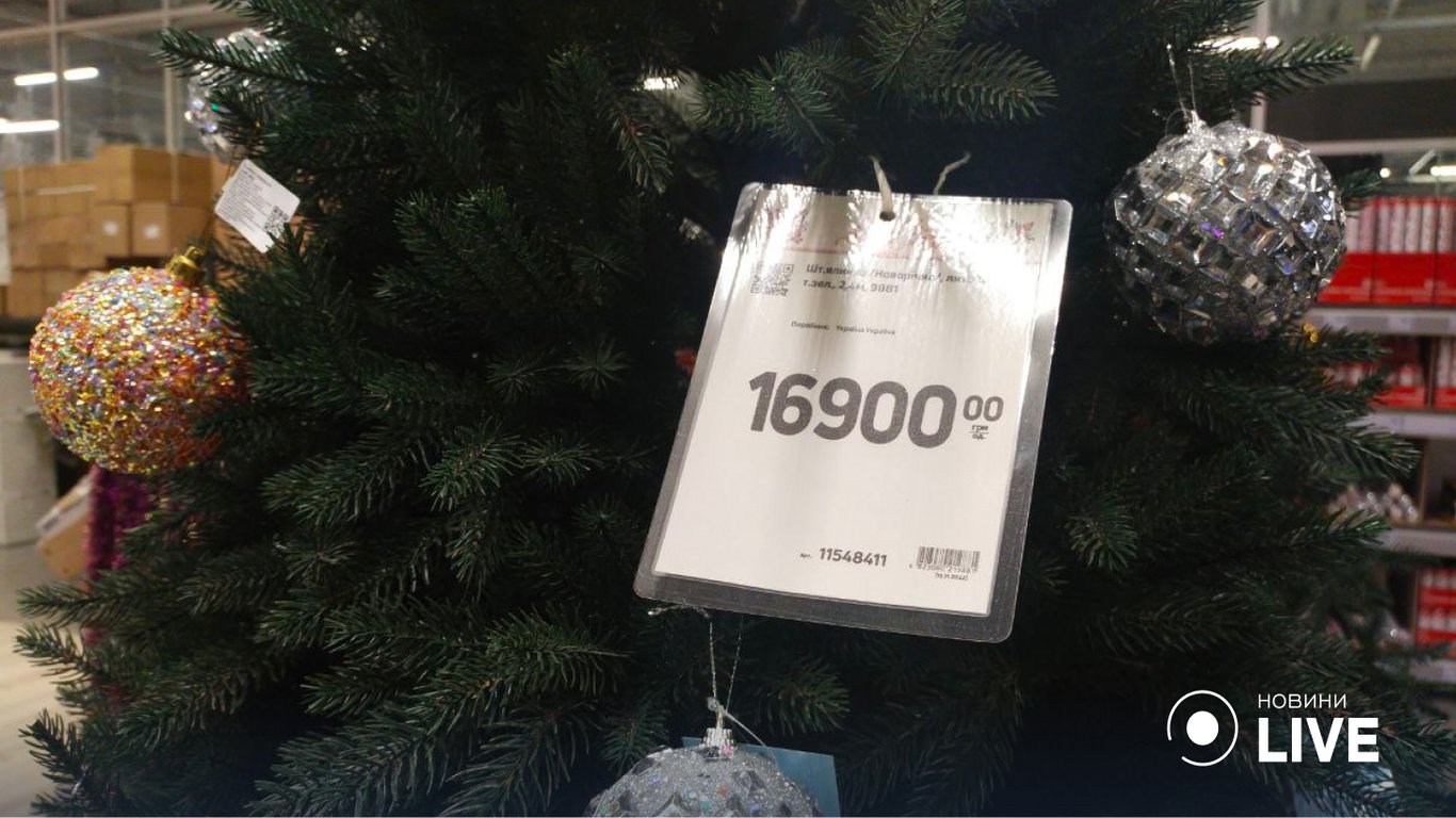 Ціни на новорічні ялинки в Одесі