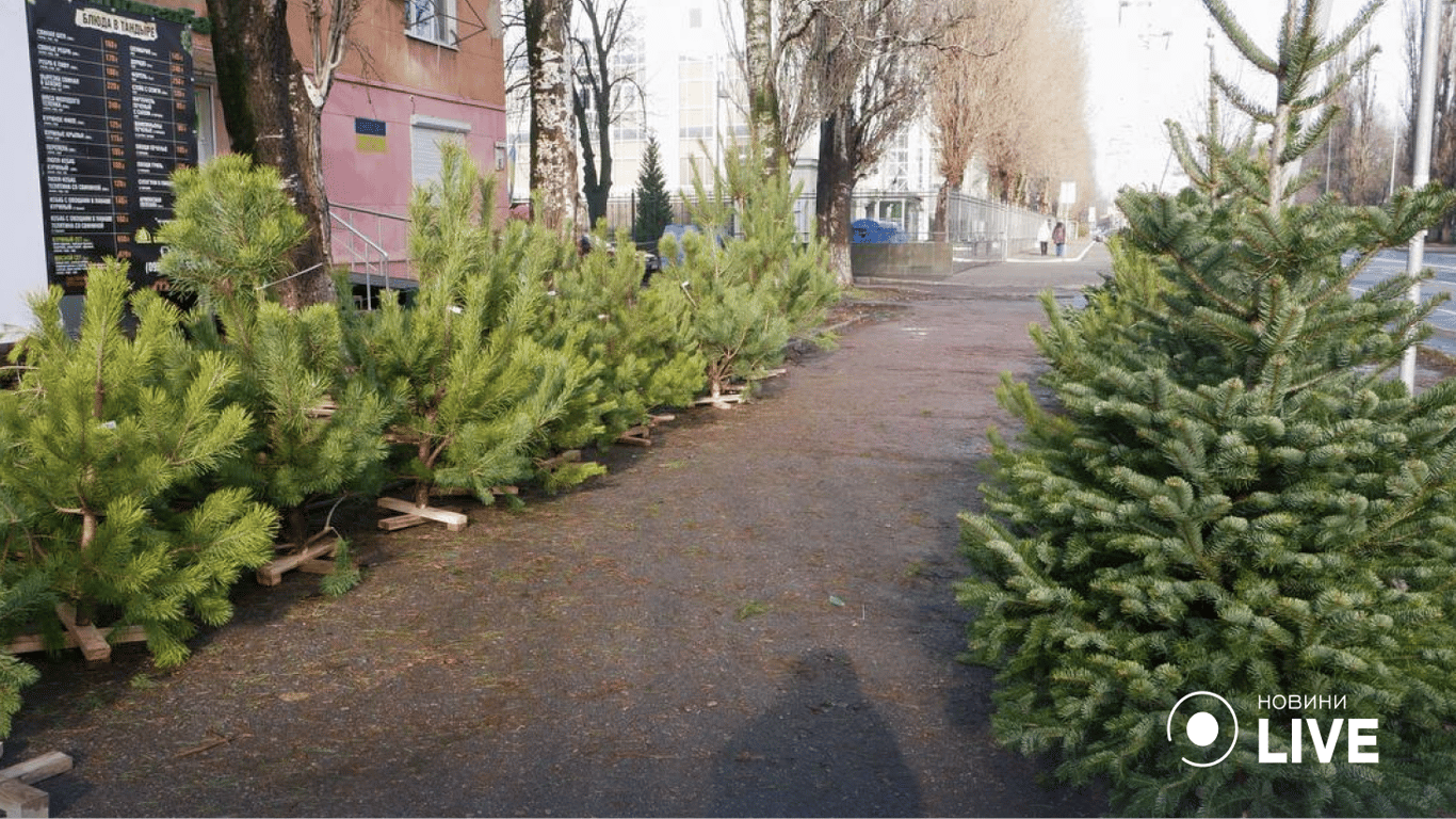 Вже з'явилися живі дерева