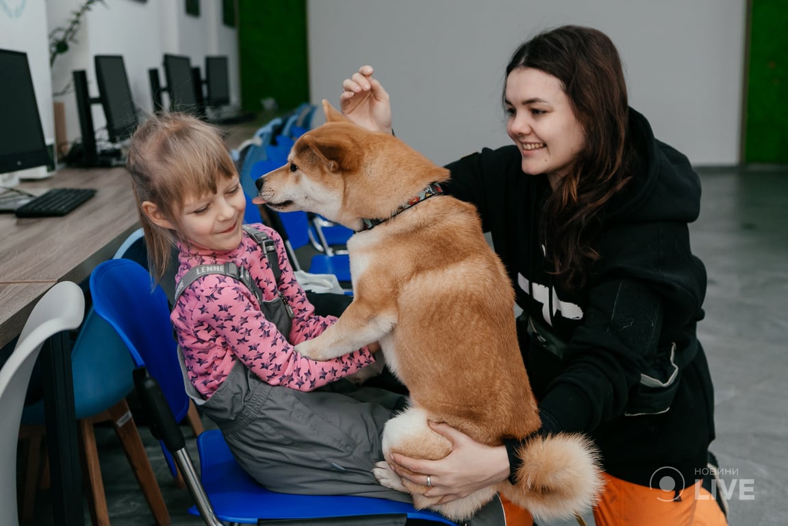 каніс-терапія