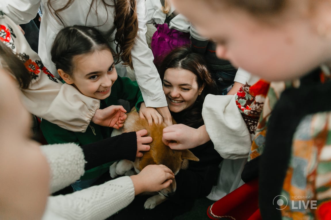 каніс-терапія