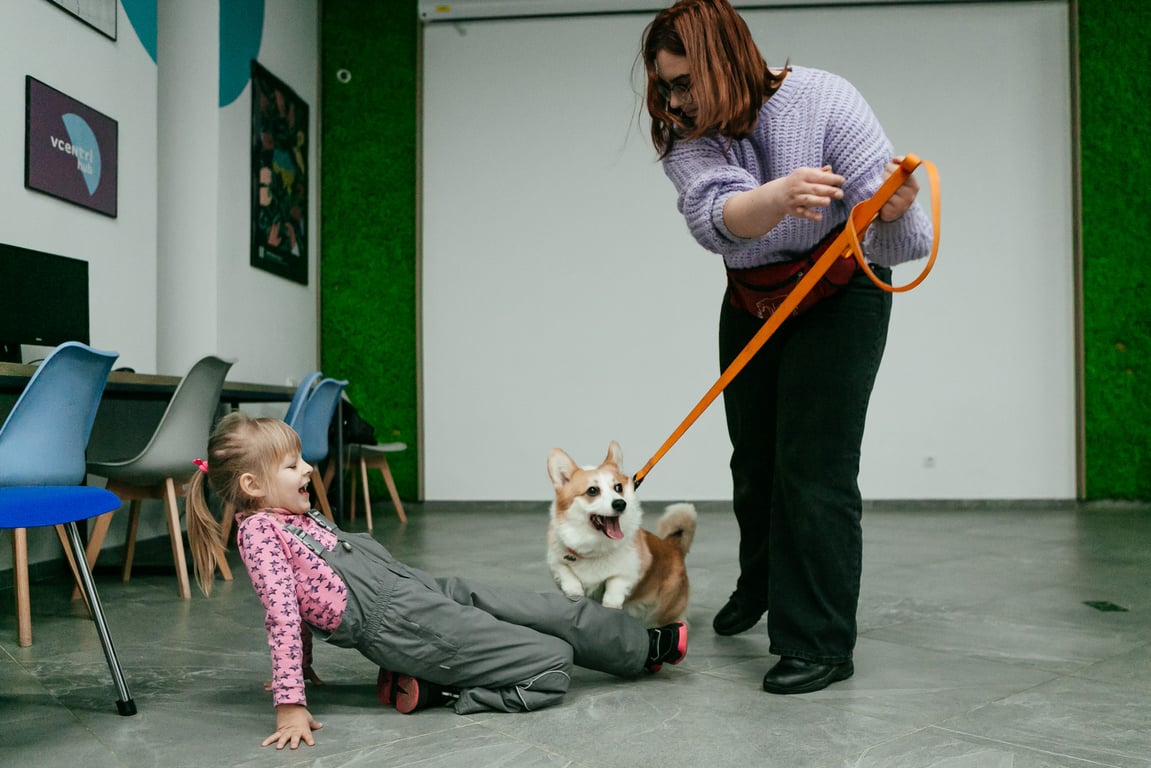 каніс-терапія