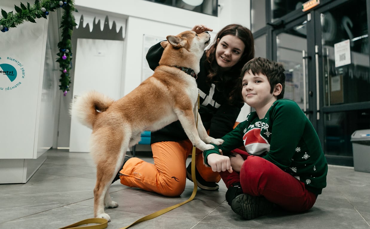 каніс-терапія