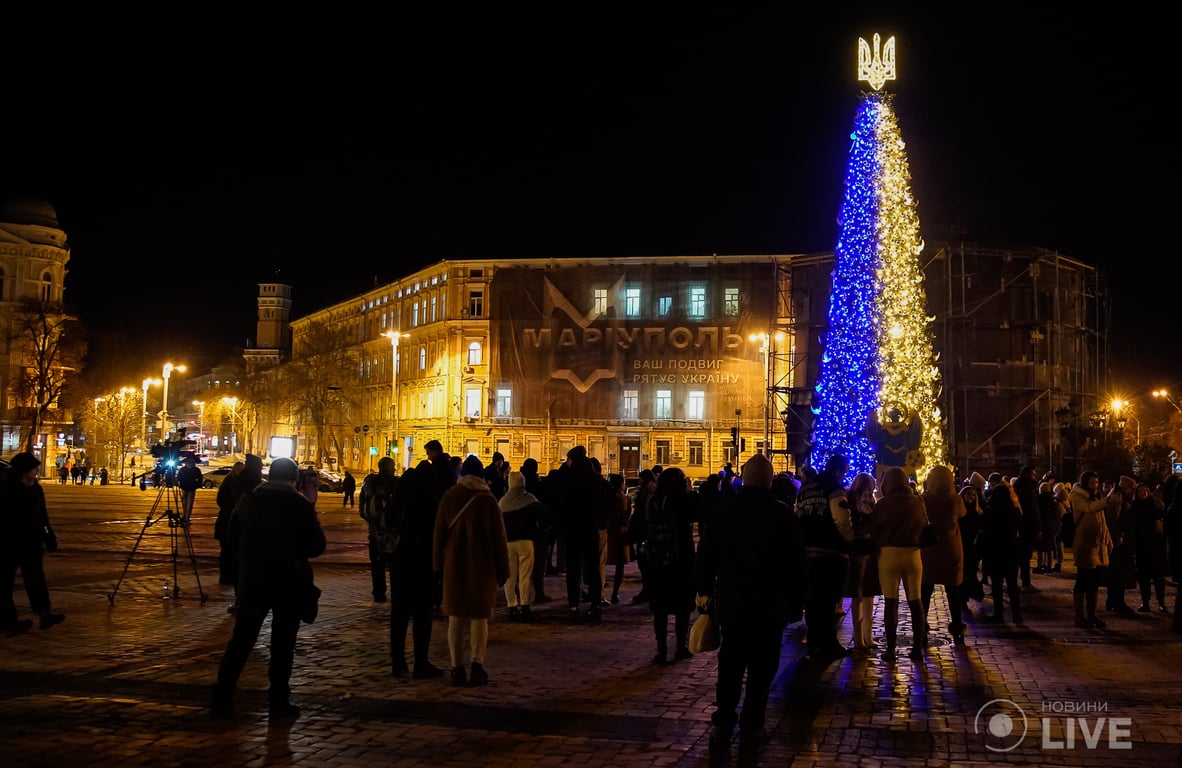 ялинка незламності