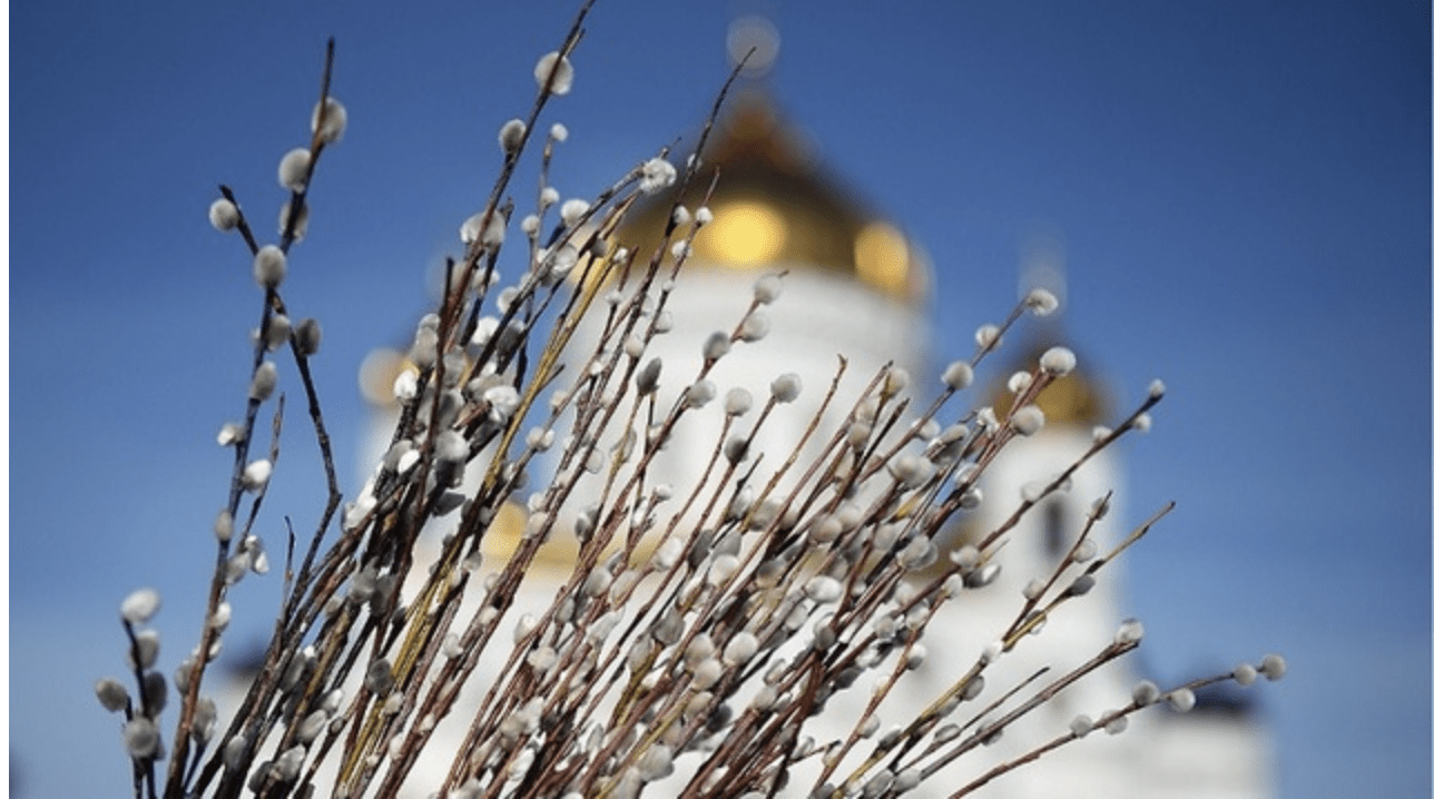 З Вербною неділею 9 квітня — привітання