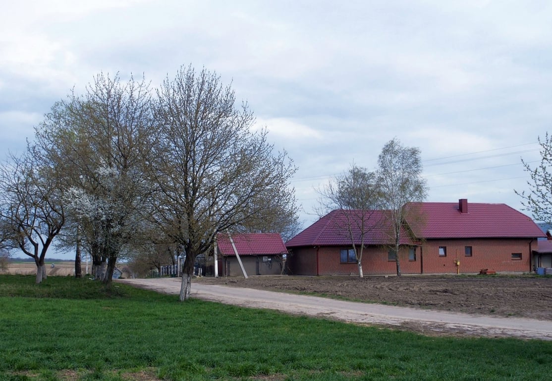 Дом мамы "Мерседеса"