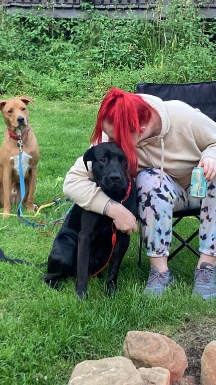 Смішне фото домашнього улюбленця, який ревнує