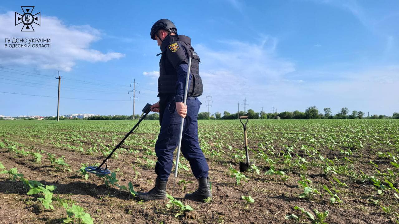 Піротехніки шукають вибухонебезпечні предмети. Фото: ДСНС в Одеській області