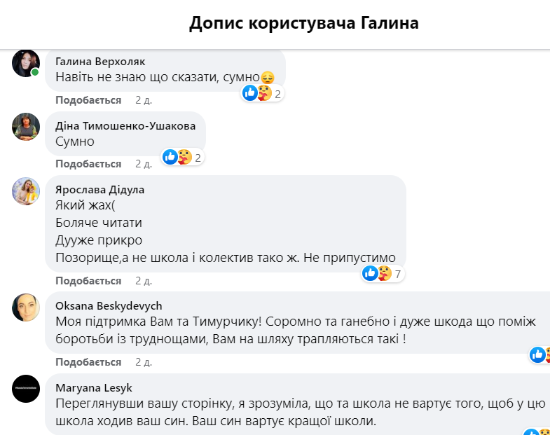 Скрин комментариев под сообщением в Facebook Галины Алиновой