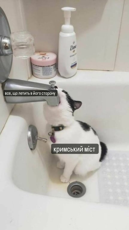 Мемы о Крымском мосте