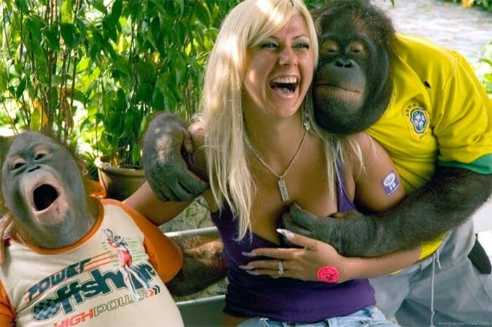 Мавпи фліртують з дівчиною